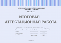 Разработка стратегии организации (на примере фитнес-клуба «UFC GYM»)
