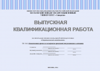 Выпускная квалификационная работа по стратегическому менеджменту. Оптимизация процесса экспертизы проектной документации в компании