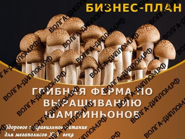 Проектная работа Проектная работа