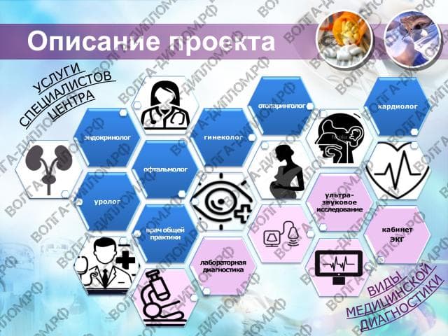 Проектная работа «Предоставление нового бизнеса». Бизнес-план 