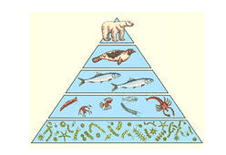 shema_ecology_2.png shema_ecology_2.png