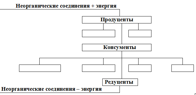shema_ecology_3.png