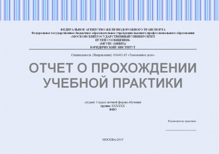 Отчет по учебной практике (таможенное дело) (ООО «Перспектива»)