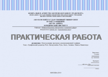Практическая работа по дисциплине: "Использование программ демонстрационной графики". Графический редактор Pixlr. Инструменты Рука, Лассо, Заливка. Панель Навигатор